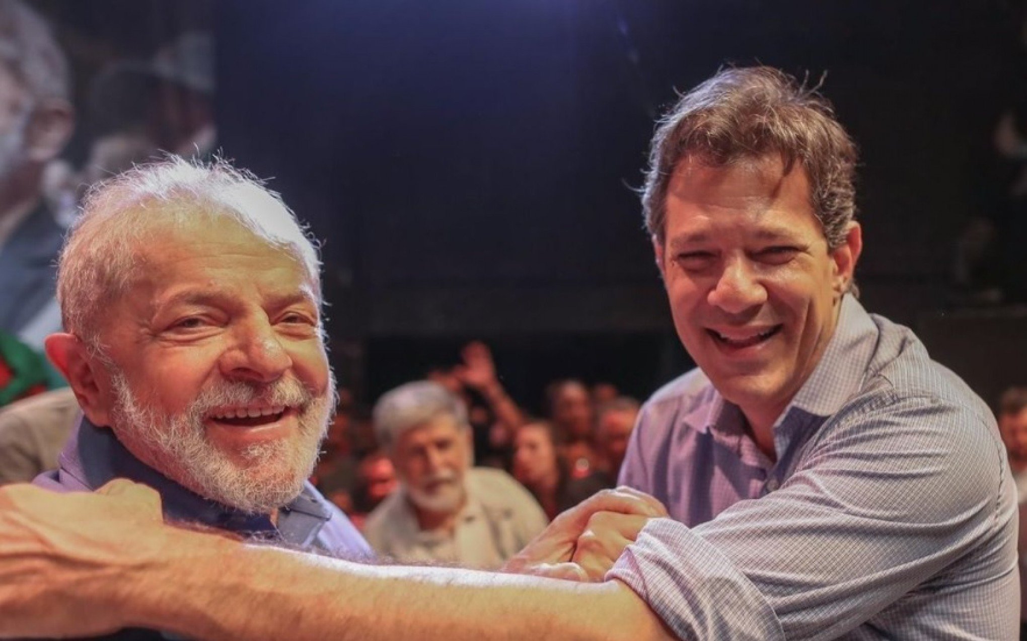 haddad 19449422
